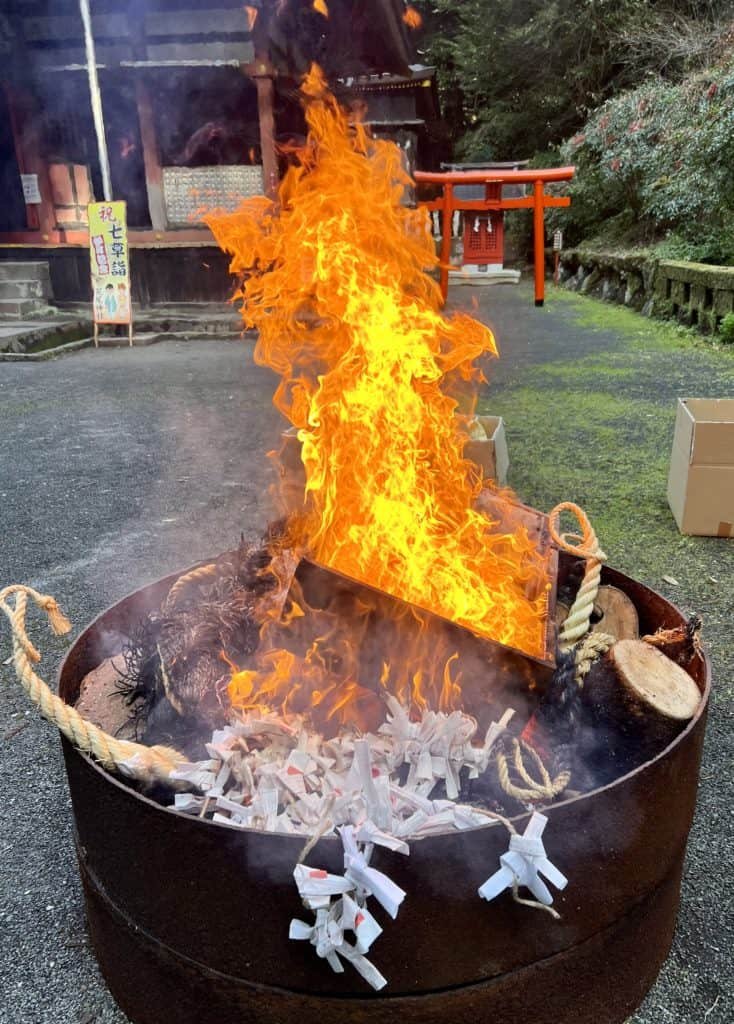 ⛩️ 인연 끊는 느티나무(엔키리 에노키) 이미지 6